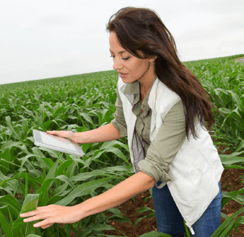 Agronomists & Advisors